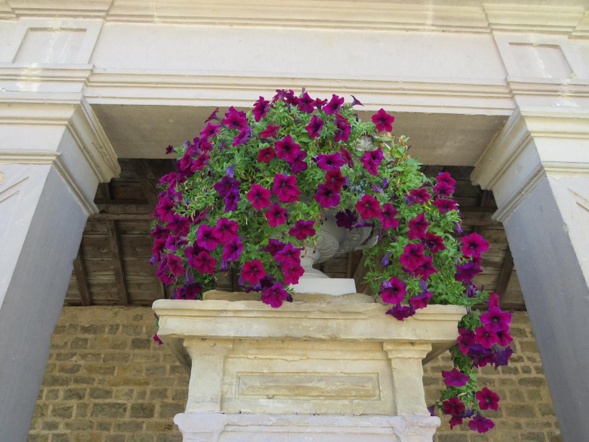 Grange D'Anjeux Bed & Breakfast Esterno foto