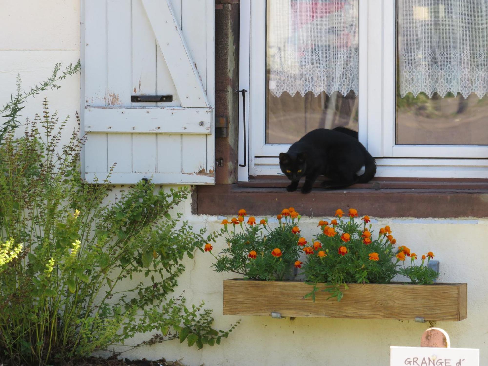 Grange D'Anjeux Bed & Breakfast Esterno foto
